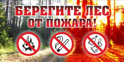 Профилактика возникновения лесных пожаров.